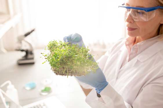 Nuestra producción de cosmética natural