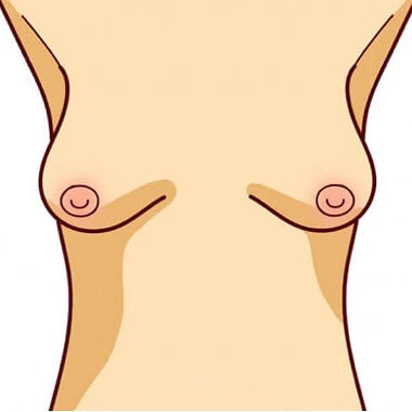 Forma de nectarina